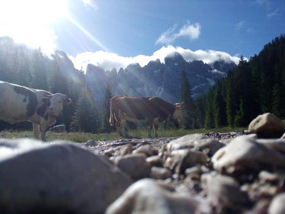 Rifugio Caltena Fiera Di Primiero Dış mekan fotoğraf