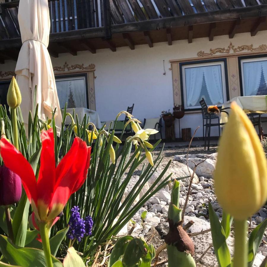 Rifugio Caltena Fiera Di Primiero Dış mekan fotoğraf