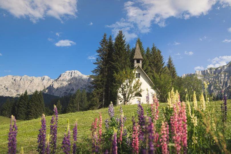 Rifugio Caltena Fiera Di Primiero Dış mekan fotoğraf