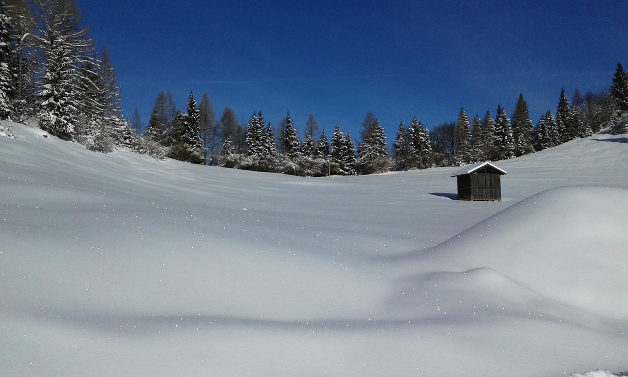 Rifugio Caltena Fiera Di Primiero Dış mekan fotoğraf